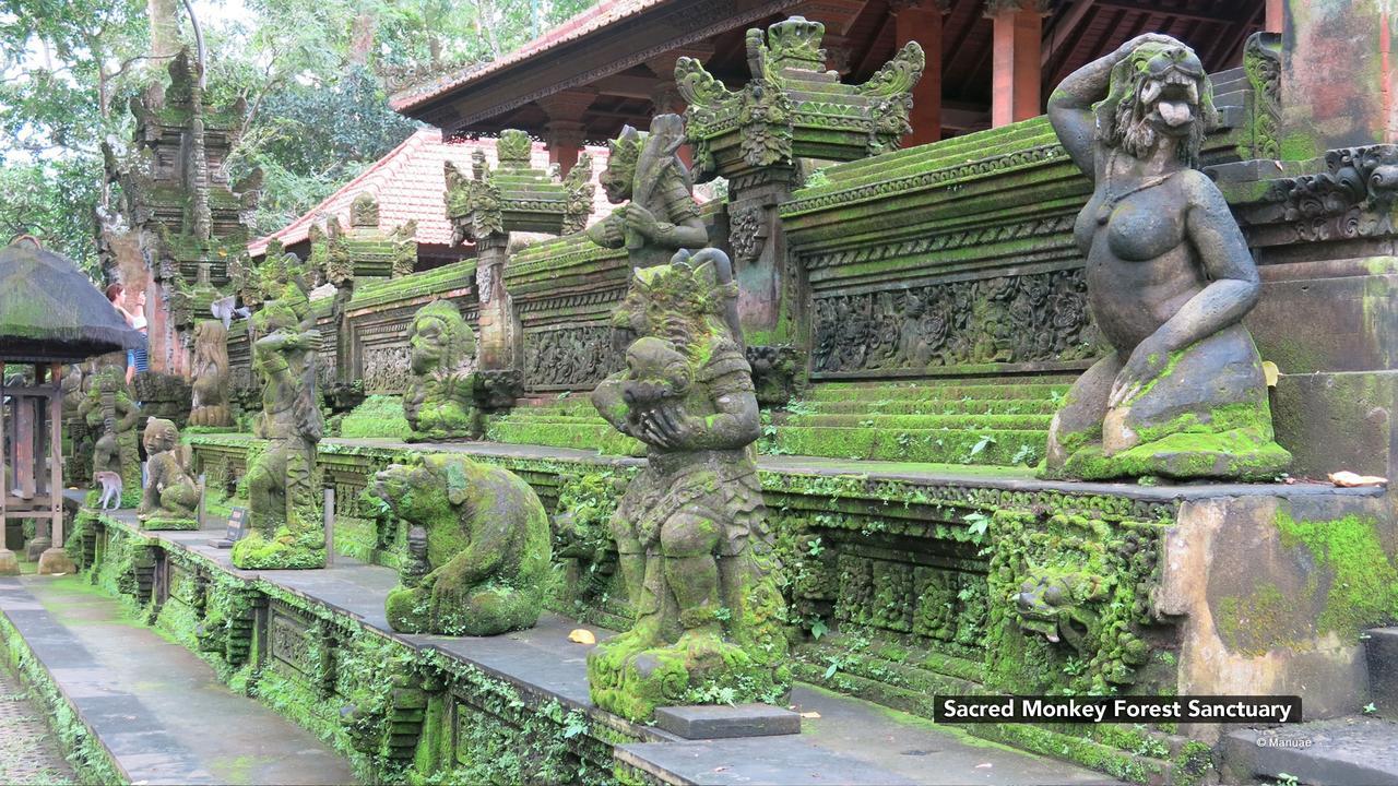 Zen Premium Nyuh Bojog Ubud Exterior photo